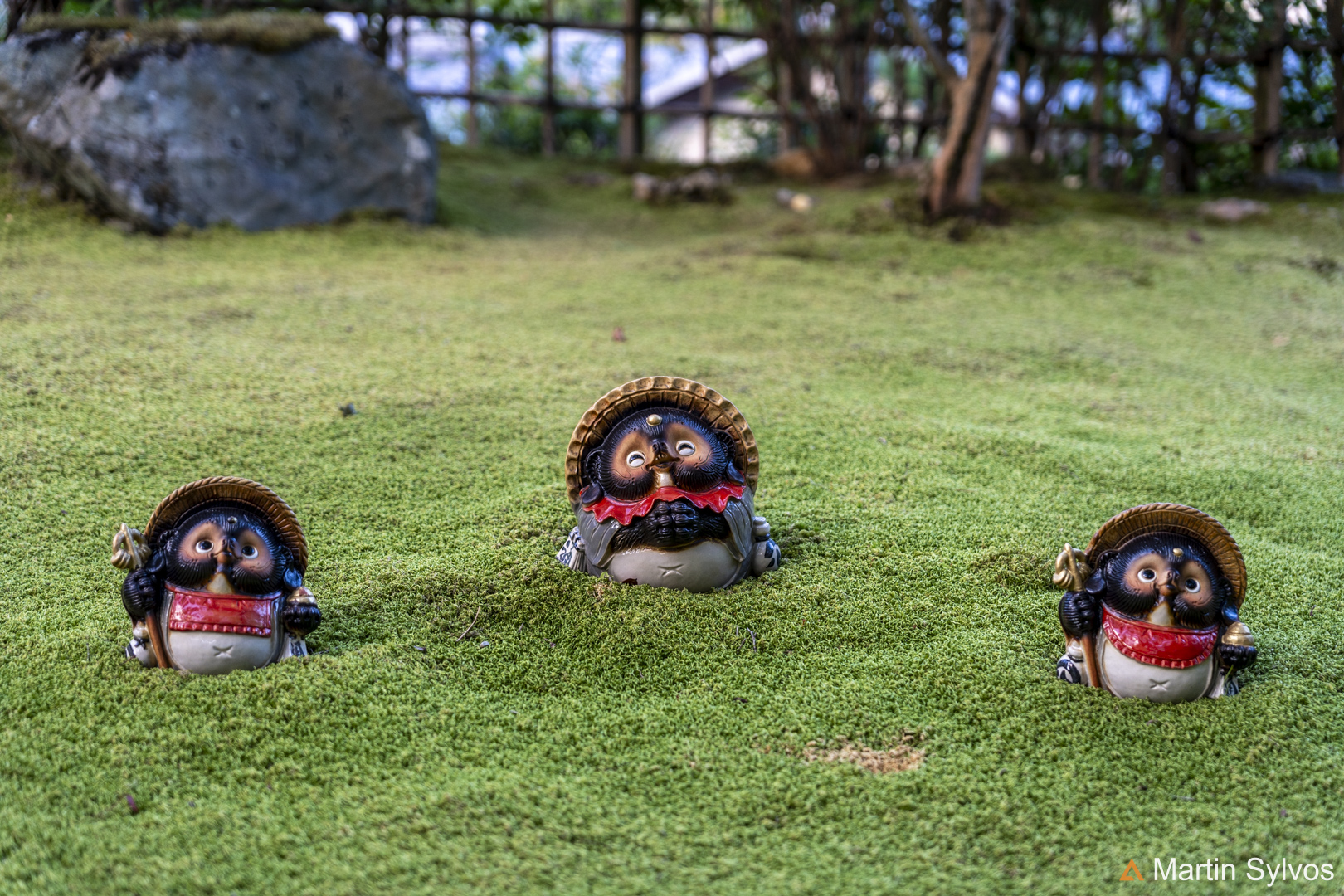 2025 Japon martin sylvos 38